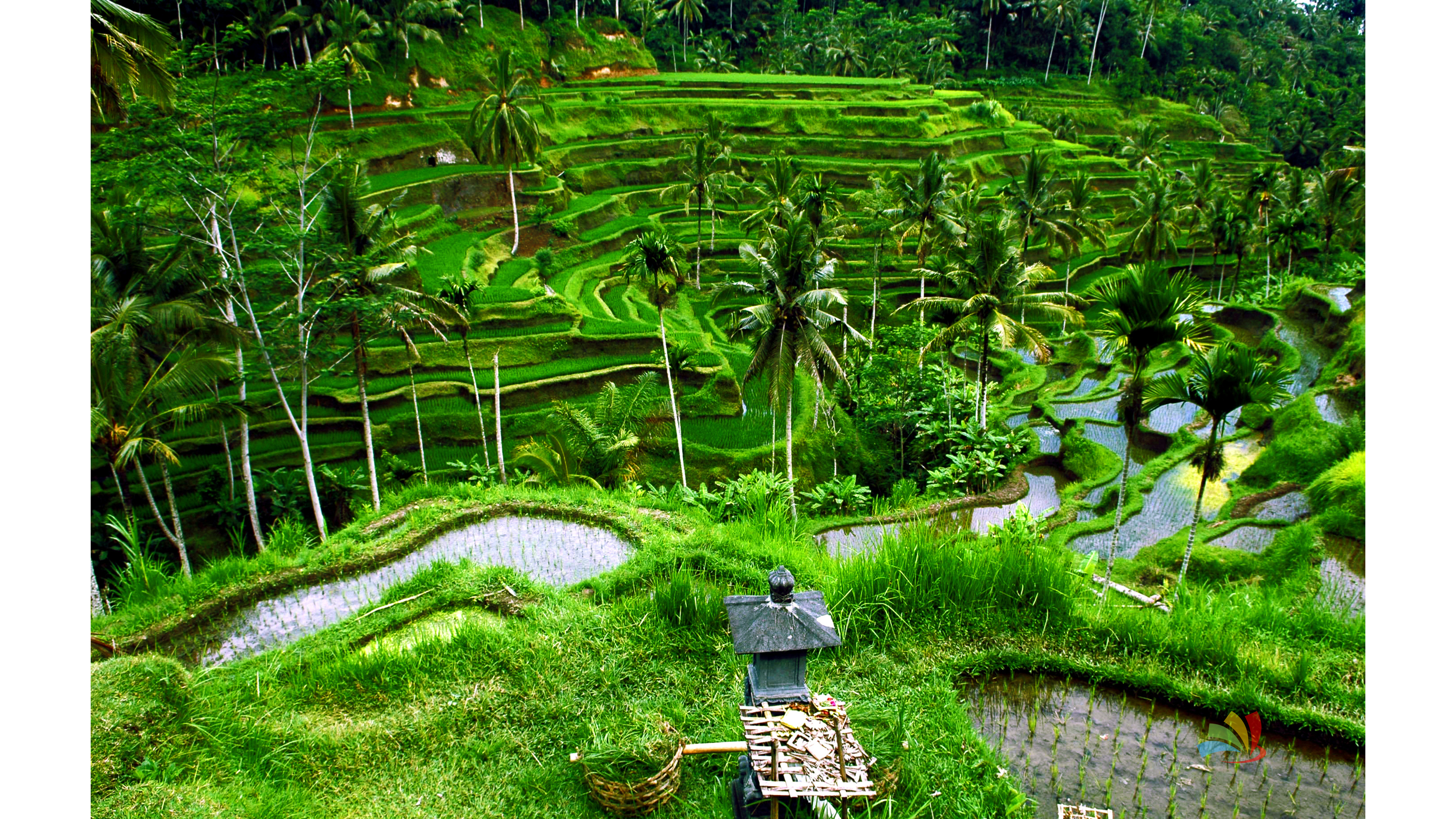 Bali Adventure Paradises - Image 1