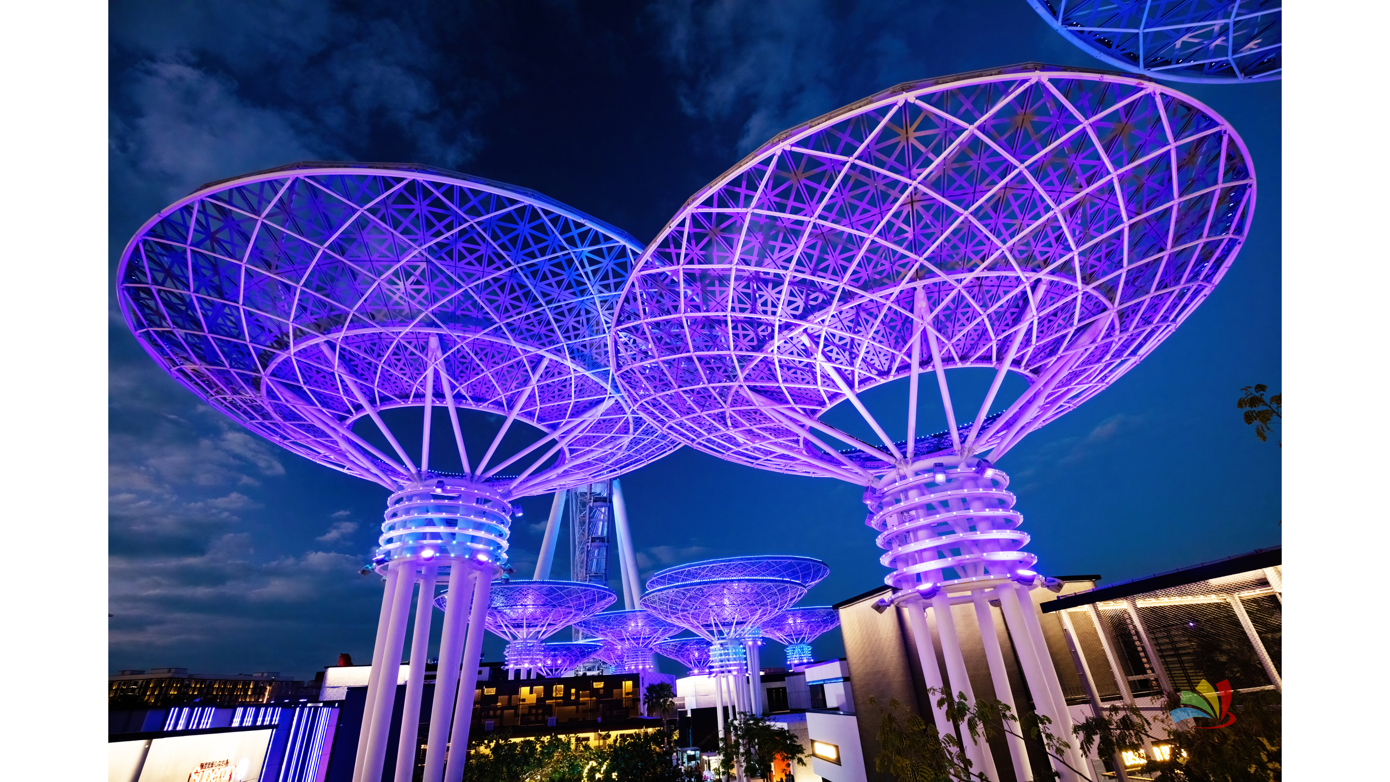 Dubai & Abu Dhabi Tour Packages - Image 13