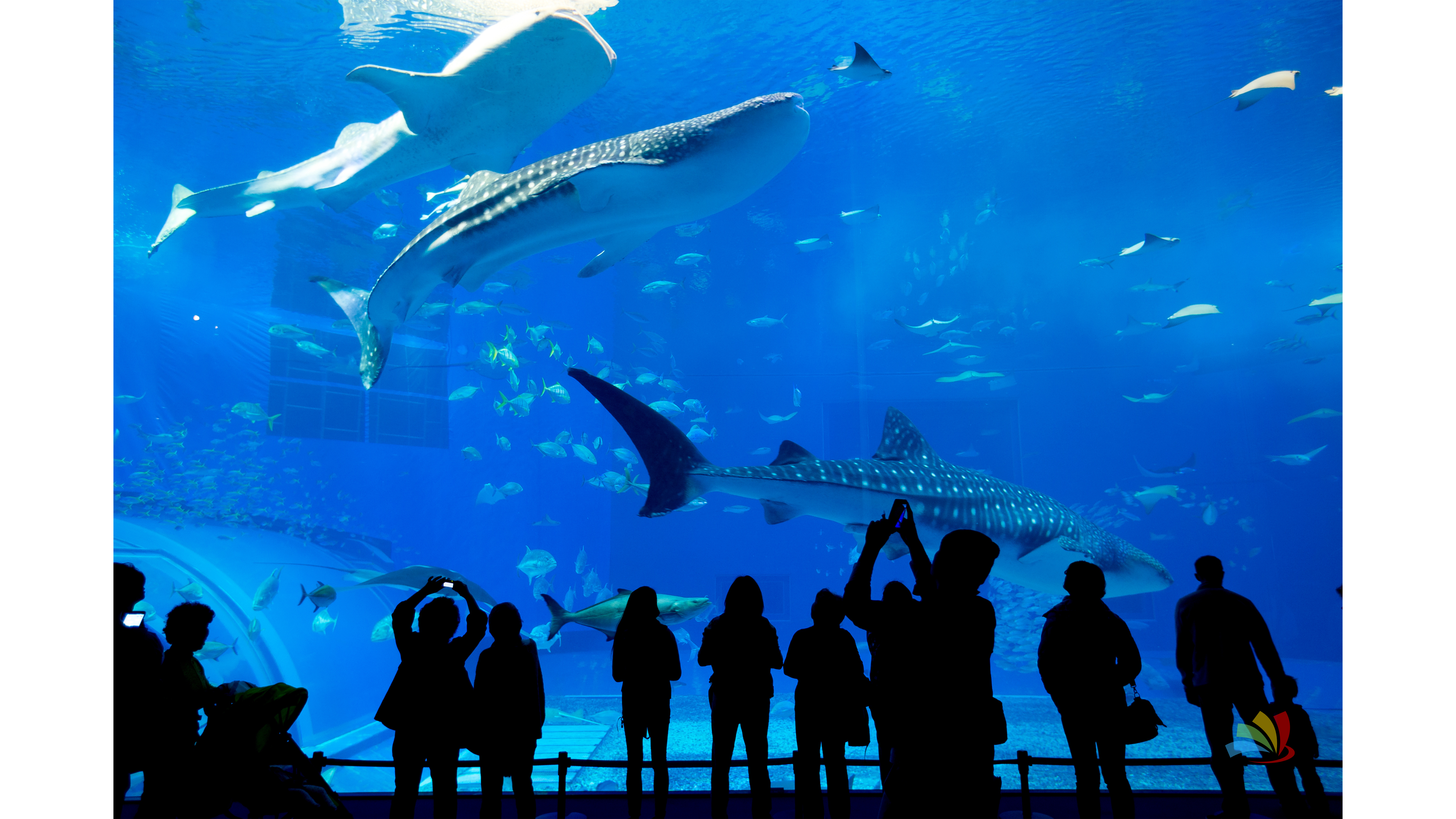 Dubai & Abu Dhabi Tour Packages - Image 7