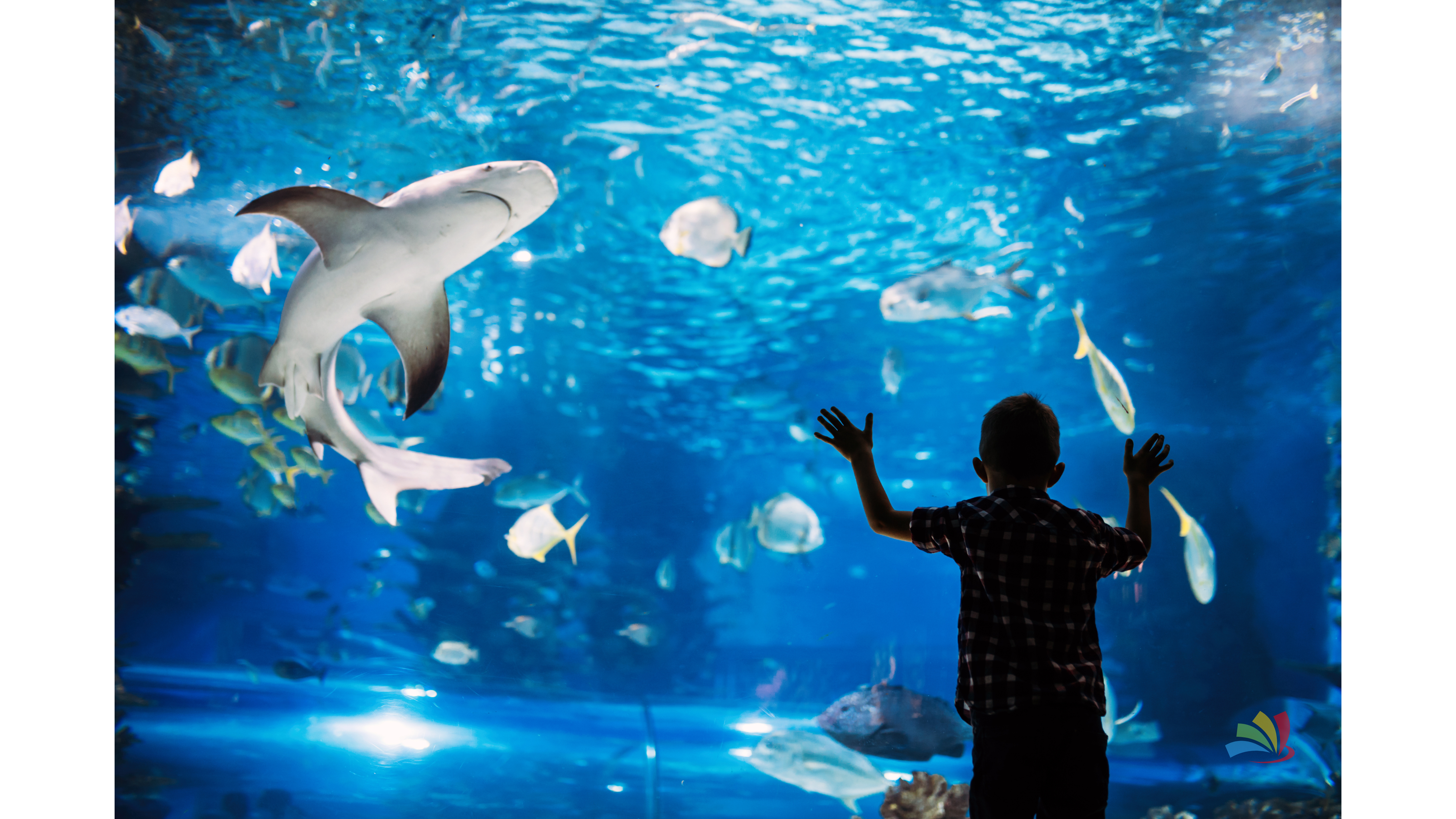 Singapore Tour Packages - Image 9