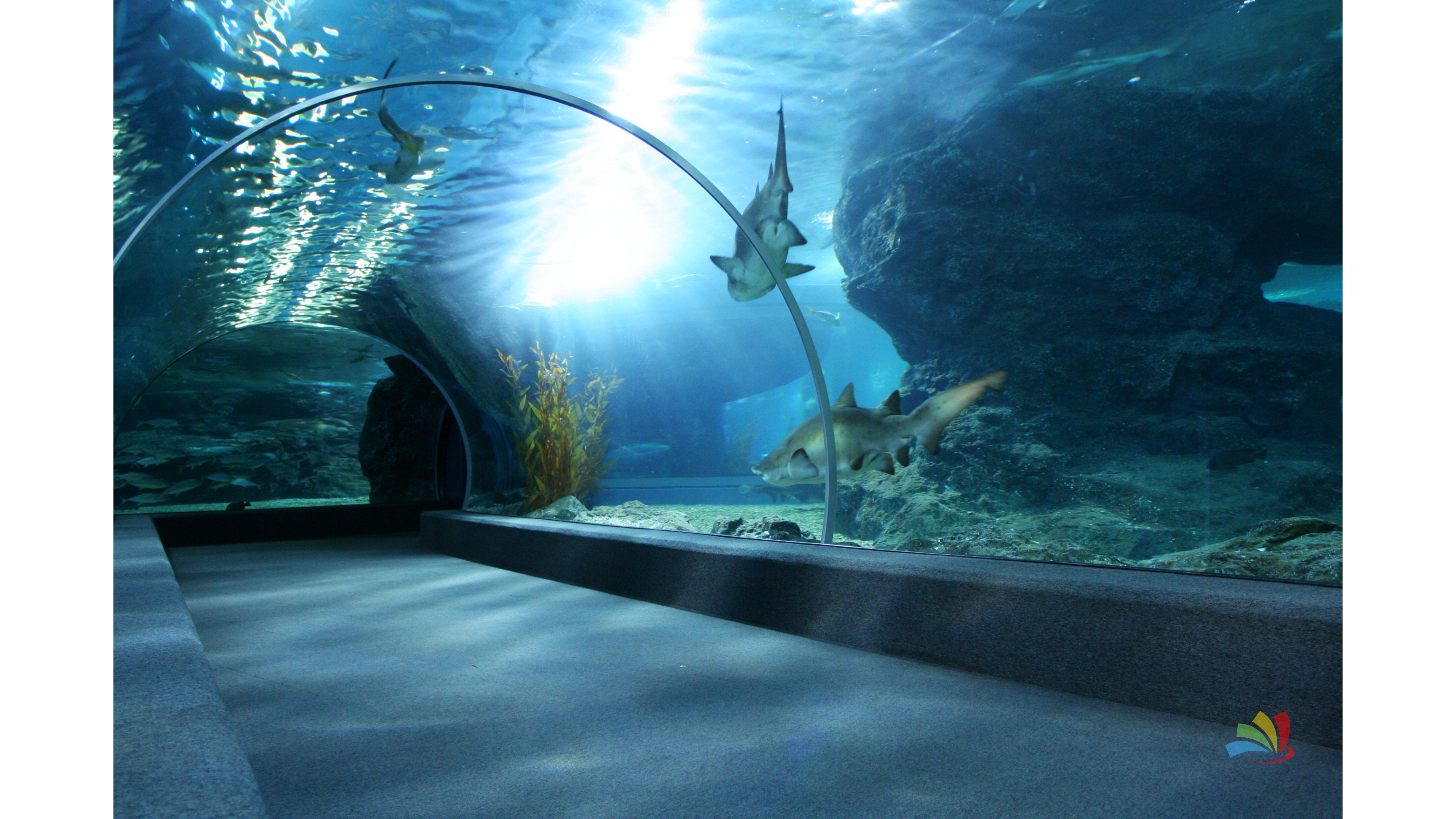 Singapore Tour Packages - Image 10