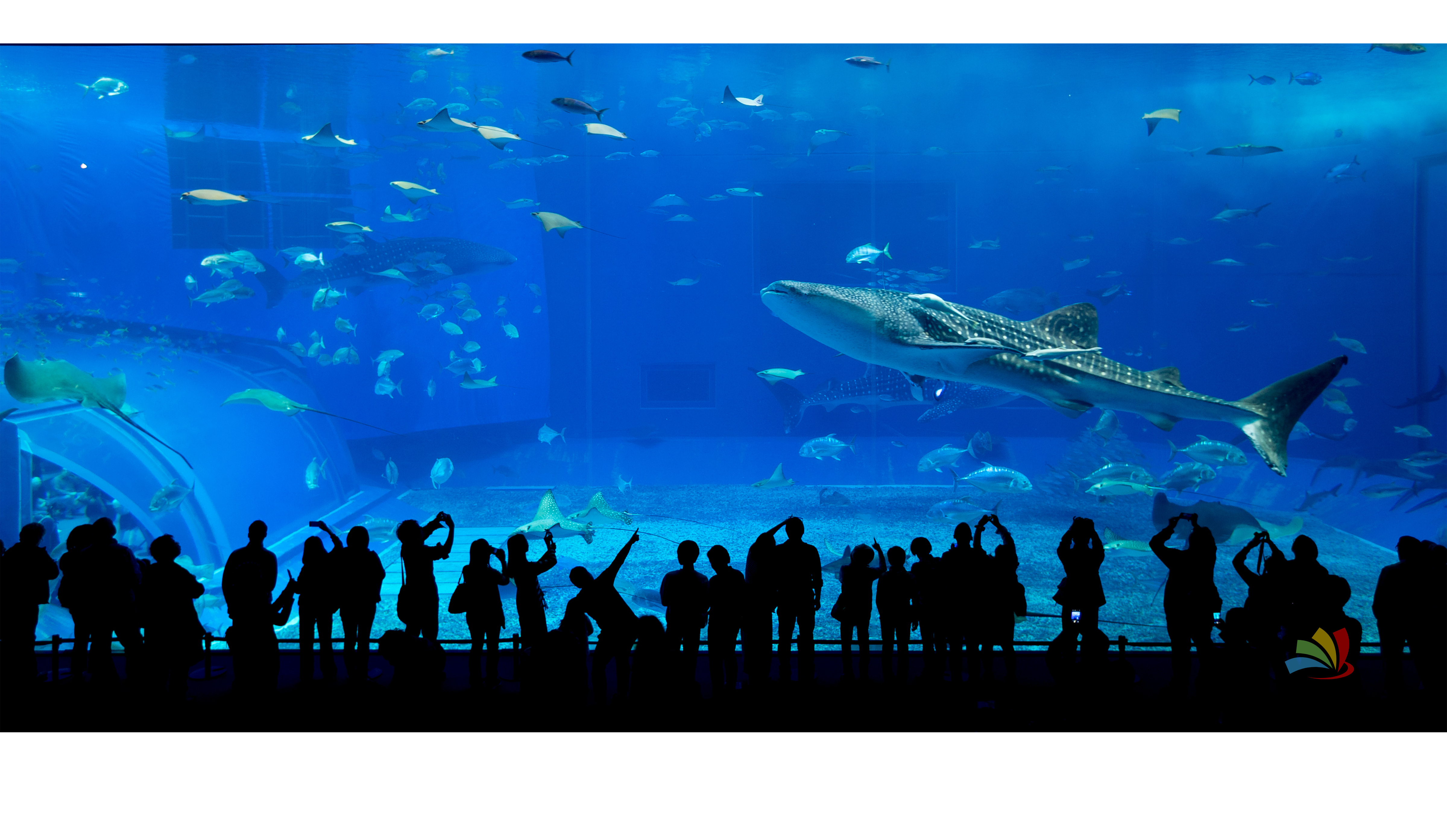 Singapore Tour Packages - Image 11