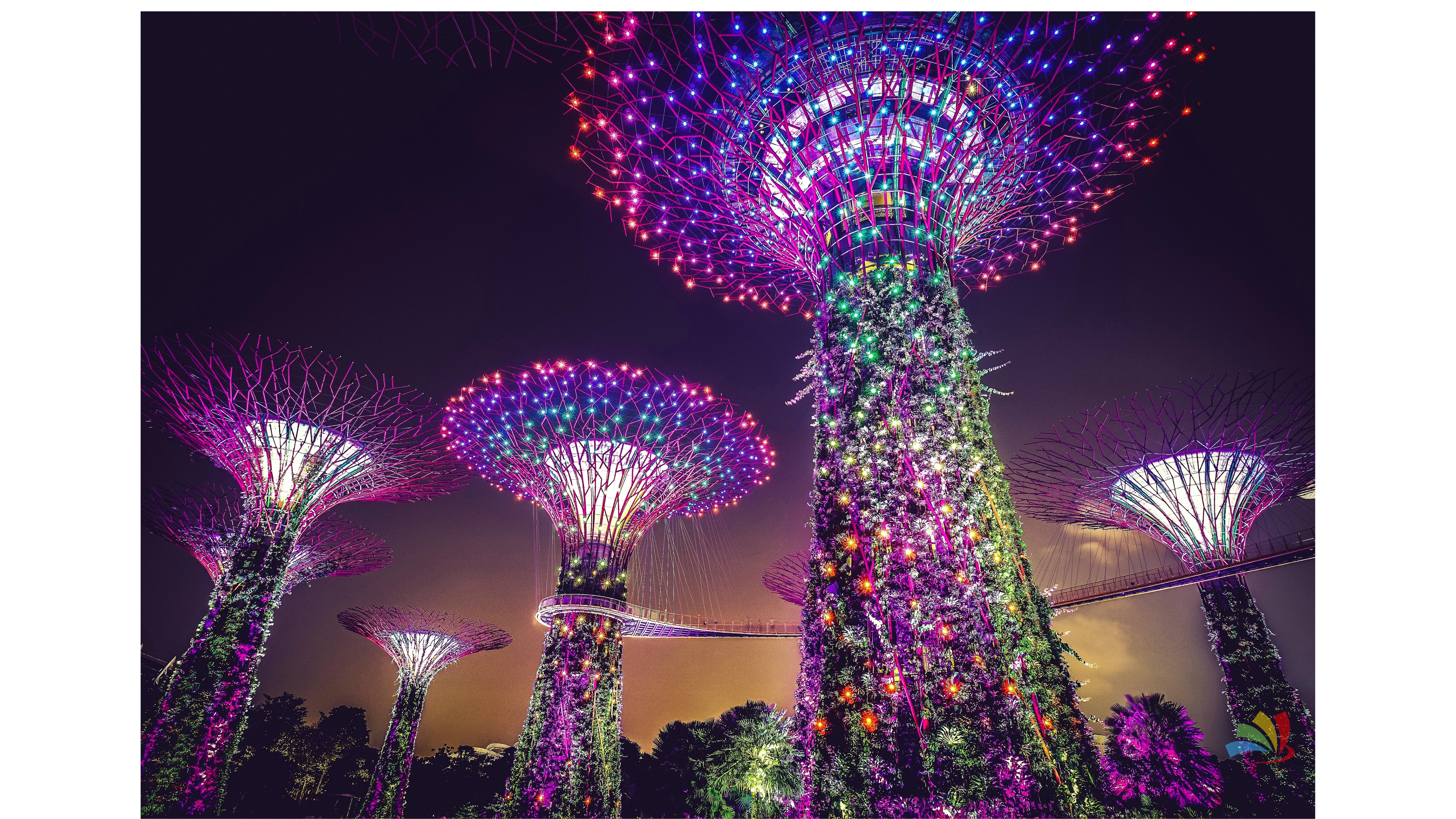 Singapore Tour Packages - Image 19