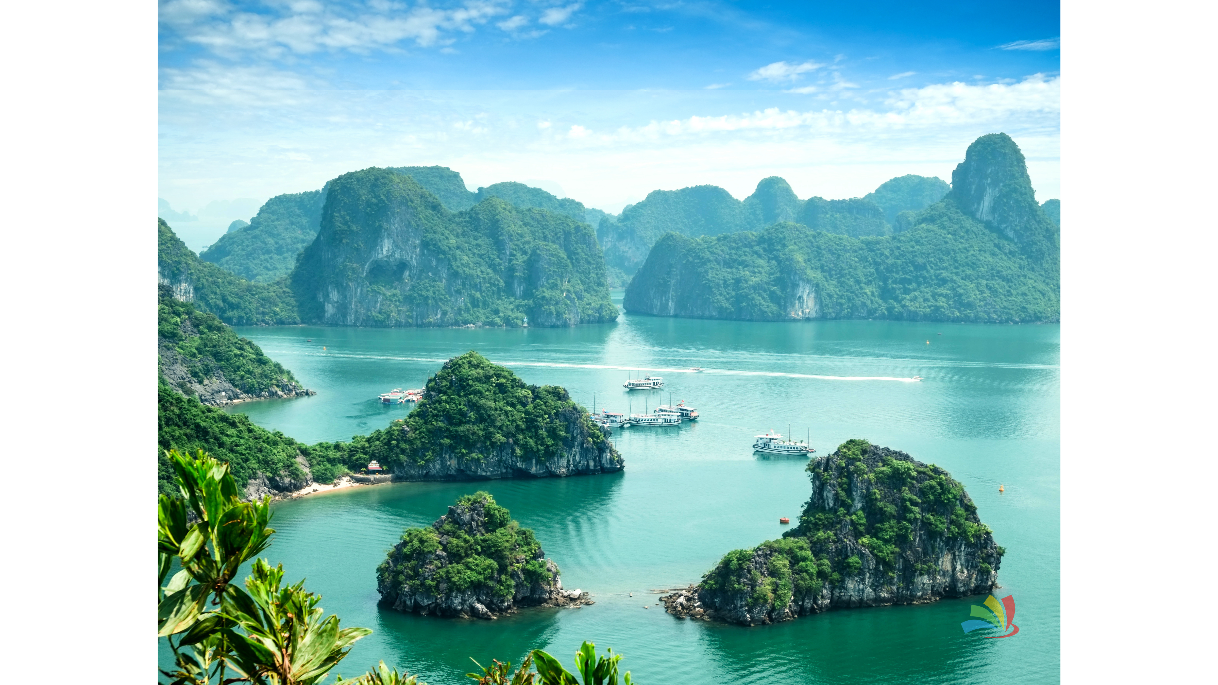 Vietnam Tour Packages